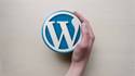 Hand holding WordPress Logo