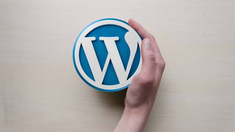 Hand holding WordPress Logo